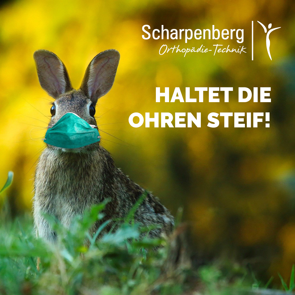 Gesunde Ostern!